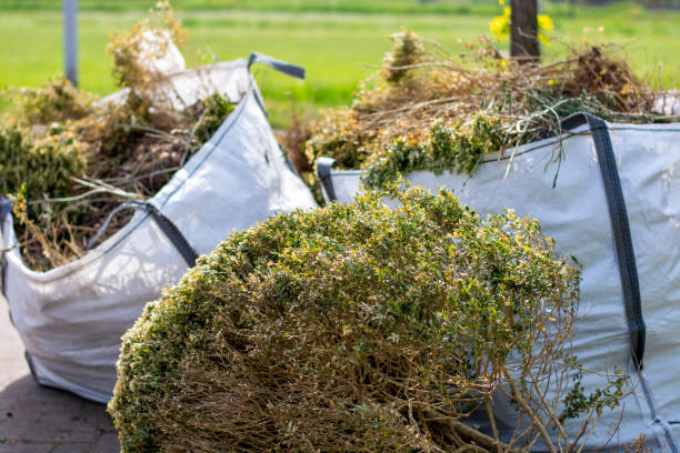 Best Yard Cleanup Services  in Mount Pulaski, IL