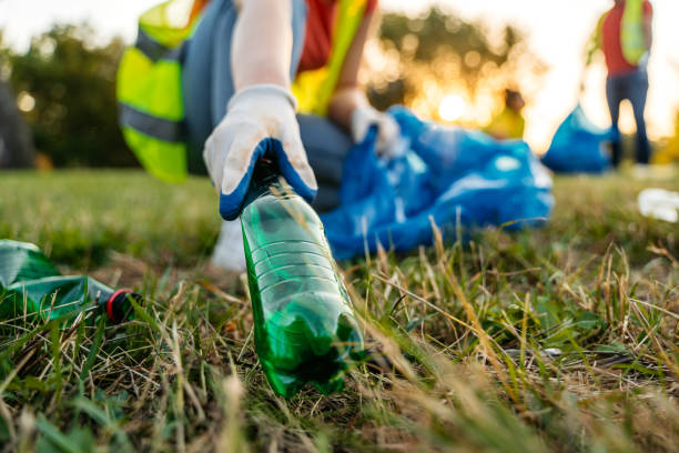 Best Yard Waste Removal  in Mount Pulaski, IL