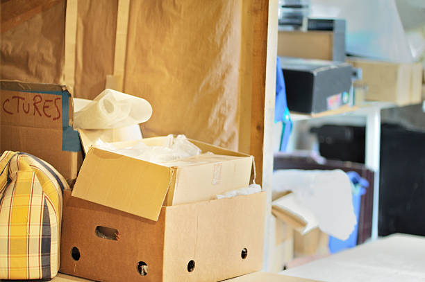 Best Professional Junk Removal  in Mount Pulaski, IL